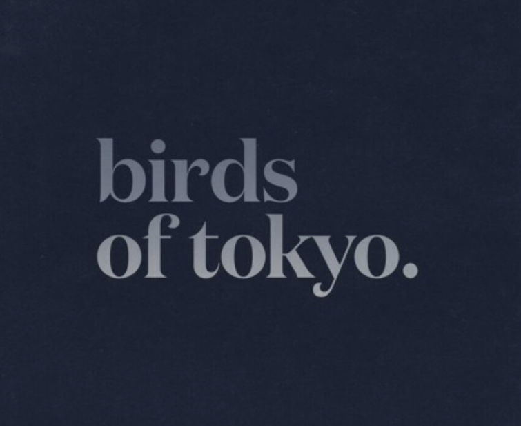 Birds Of Tokyo – When The Night Falls Quiet