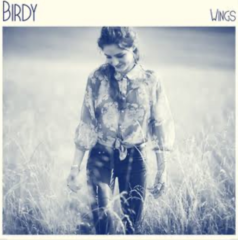 Birdy – Wings