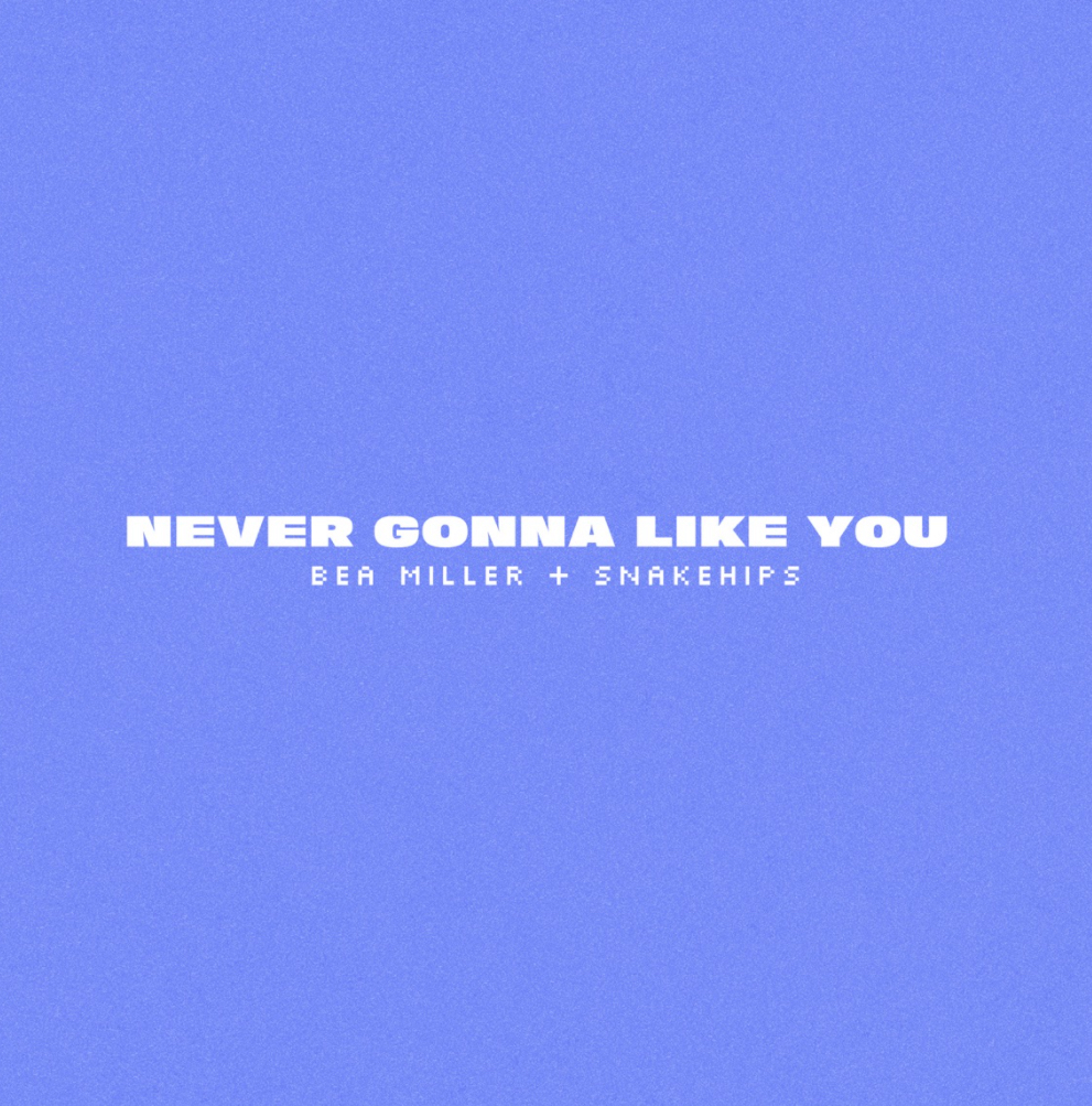 Snakehips & Bea Miller – Never Gonna Like You