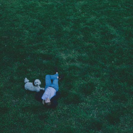 Eva Snyder – turkeys