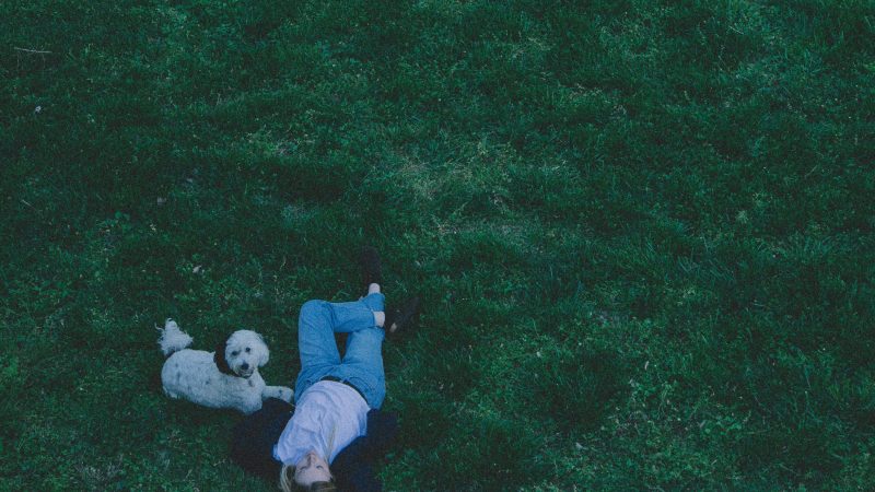 Eva Snyder – turkeys