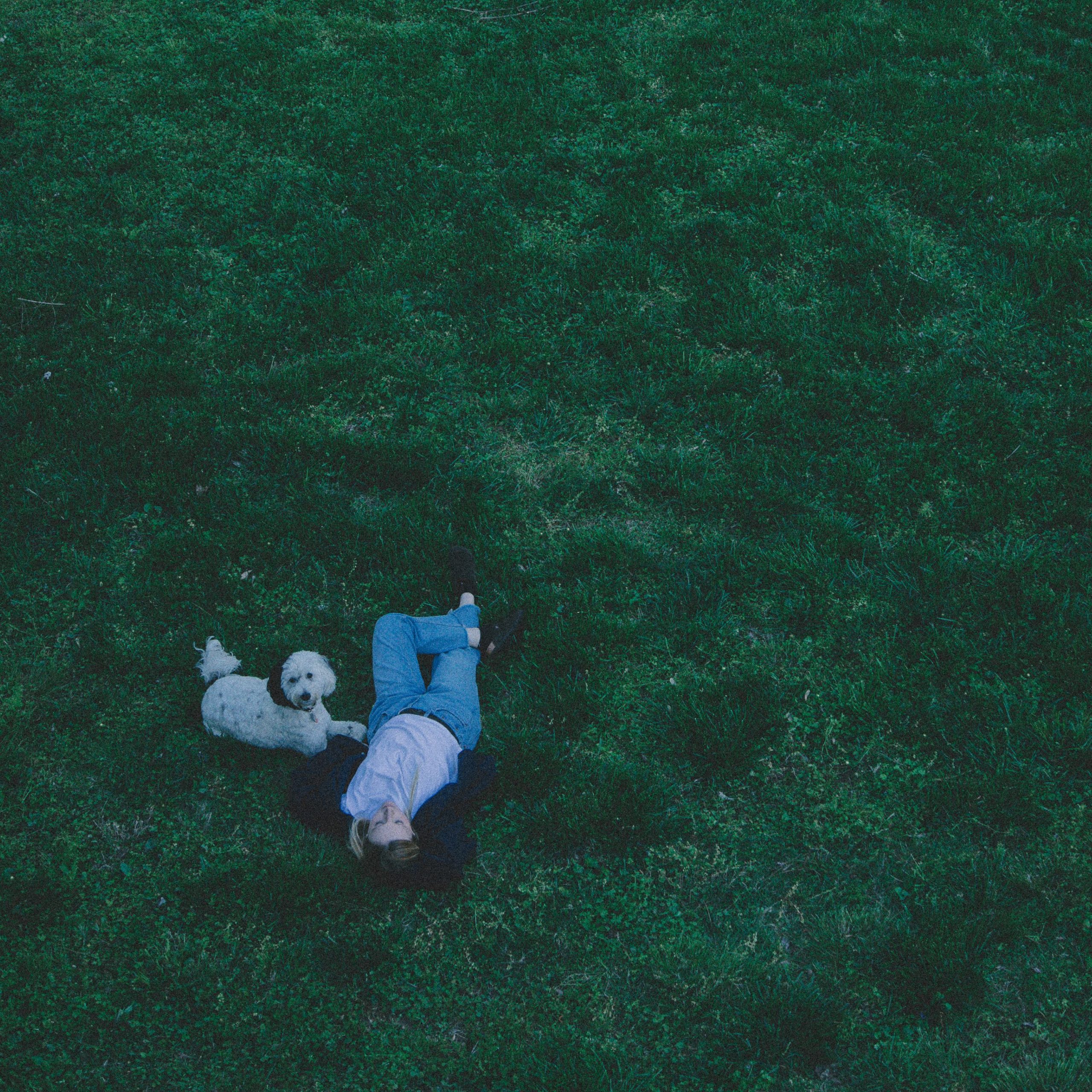 Eva Snyder – turkeys